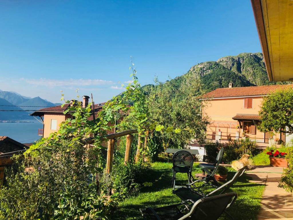 Agriturismo Botton D'Oro Dongo Exterior photo